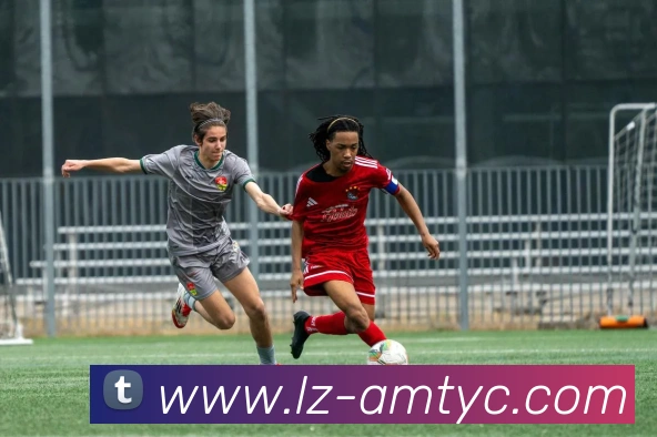 澳门太阳城网站平台生态图